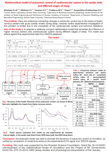 Mathematical model of autonomic control of cardiovascular system in the awake state and different stages of sleep