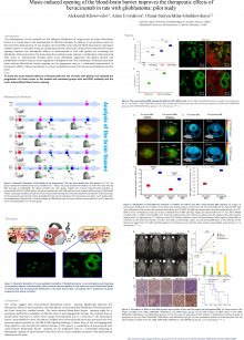 Music-induced opening of the blood-brain barrier improves the therapeutic effects of bevacizumab in rats with glioblastoma: pilot study
